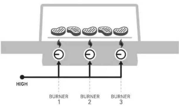 WEBER Spirit S315 - The Flame - Direct or Indirect - 1