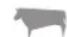 WEBER Spirit S315 - Guide de cuisson - 1