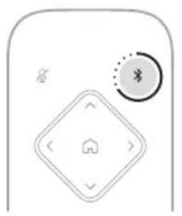 BOSE Videobar VBS - A - 5