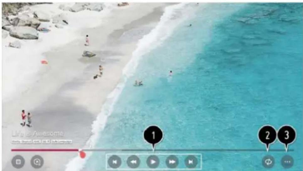 Peerless-AV NT553 - Lecture des vidéos: - 1