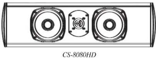 DEFINITIVE TECHNOLOGY CS8060HD - 2