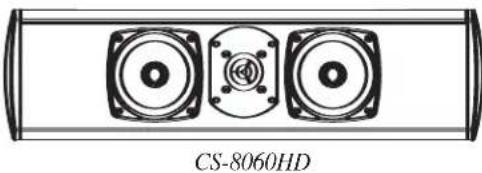 DEFINITIVE TECHNOLOGY CS8060HD - Assistance technique - 1