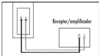 Receptor/amplificador