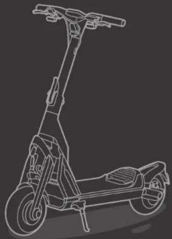 SEGWAY Ninebot GT1 - 0 - 2