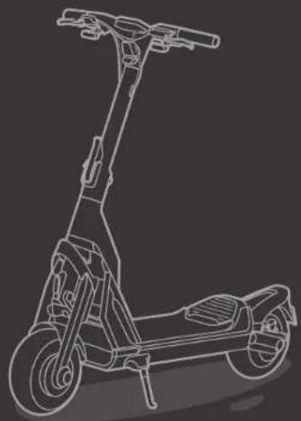 SEGWAY Ninebot GT1 - Trademark - 5