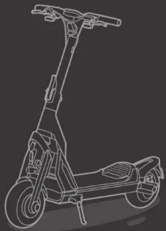 SEGWAY Ninebot GT1 - Trademark - 3