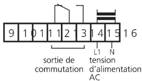 IFM DD1001 - Raccordement des bornes: - 2