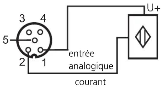 IFM AC2526 - Mesure de courant - 1