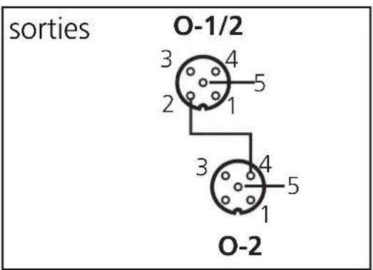 IFM AC2514 - Raccordement électrique - 2