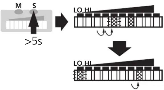 IFM SI1106 - ■ Schaltpunkt einstellen - 2