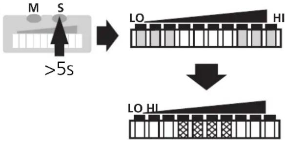 IFM SI1106 - ■Funktion des Ausgangsrelais umschalten - 4
