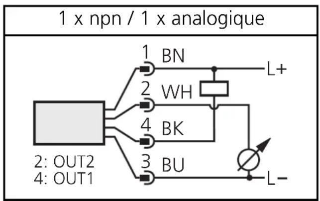 1 x npn / 1 x analogique 1 BN 2 WH 4 BK 3 BU 2: OUT2 4: OUT1 L+ L-