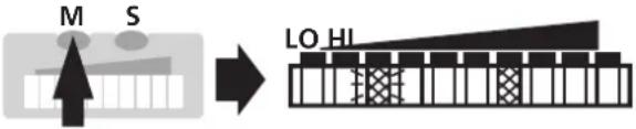 IFM SI1002 - ■ Schaltpunkte einstellen - 1