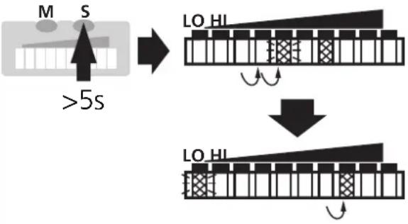 IFM SI1001 - ■Réglage du seuil de commutation - 2