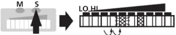 IFM SI1003 - ■ Schaltpunkte einstellen - 2