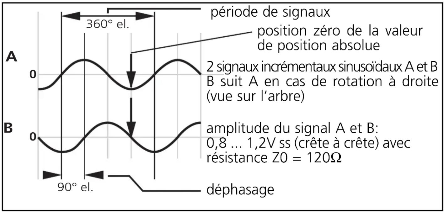 IFM RN6050 - Raccordement électrique - 2