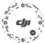 DJI FPV Goggles V2 - 使用過度恐傷害視力 - 1