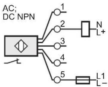 AC; DC NPN 1 2 3 4 5 N L+ L1 L-