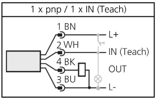graph TD A["Device"] --> B["1 BN"] A --> C["2 WH"] A --> D["4 BK"] A --> E["3 BU"] B --> F["L+"] C --> G["IN (Teach)"] D --> H["OUT"] E --> I["L-"]