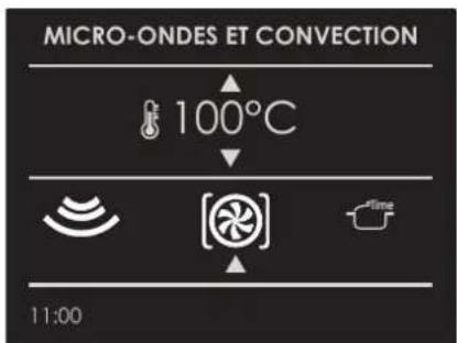 MICRO-ONDES ET CONVECTION 100°C 11:00