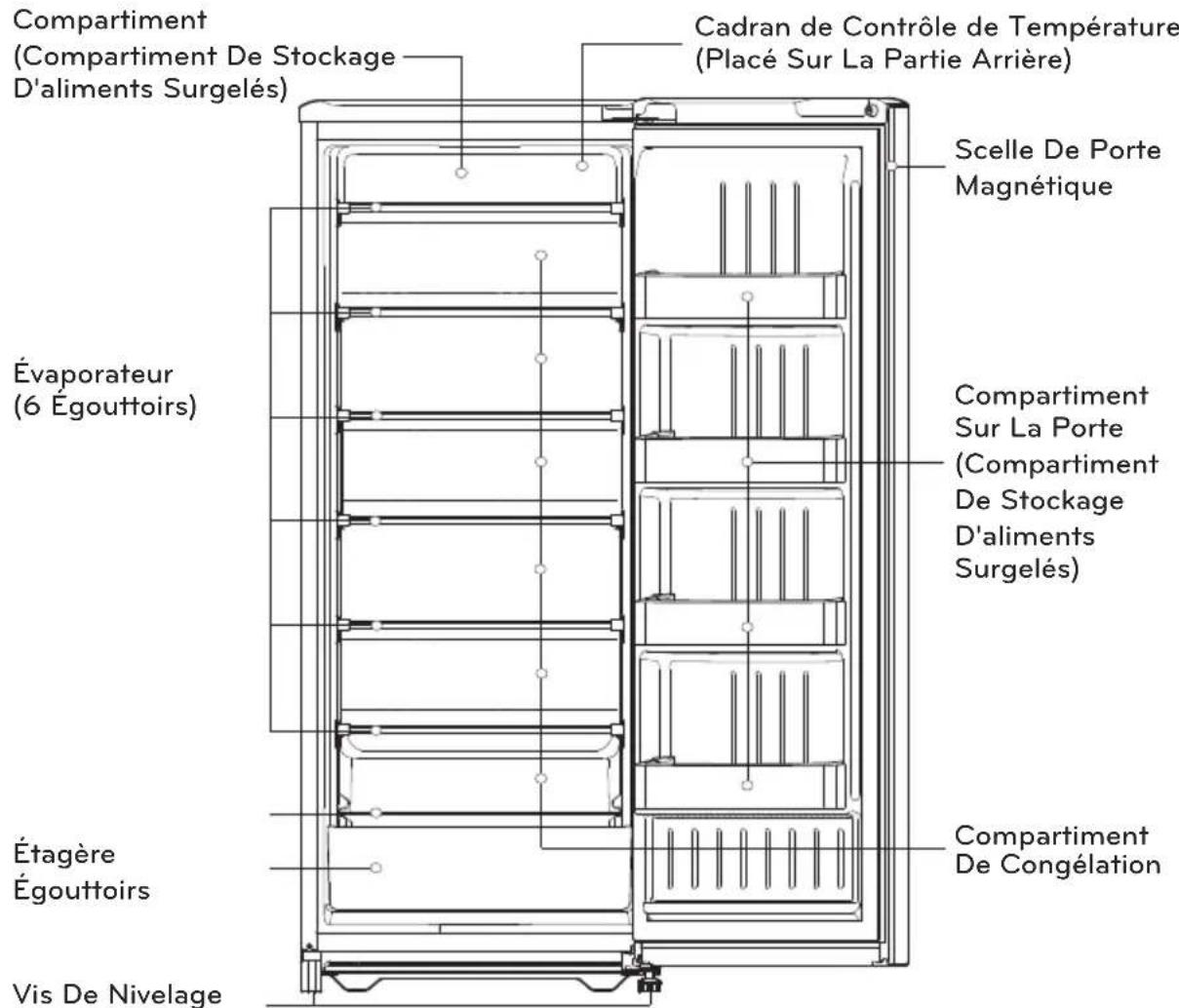 Compartment (Compartment De Stockage D'aliments Surgelés) Cadran de Contrôle de Température (Placé Sur La Partie Arrière) Évaporateur (6 Égouttoirs) Scelle De Porte Magnétique Compartment Sur La Porte (Compartment De Stockage D'aliments Surgelés) Étagère Égouttoirs Vis De Nivelage Compartment De Congélation