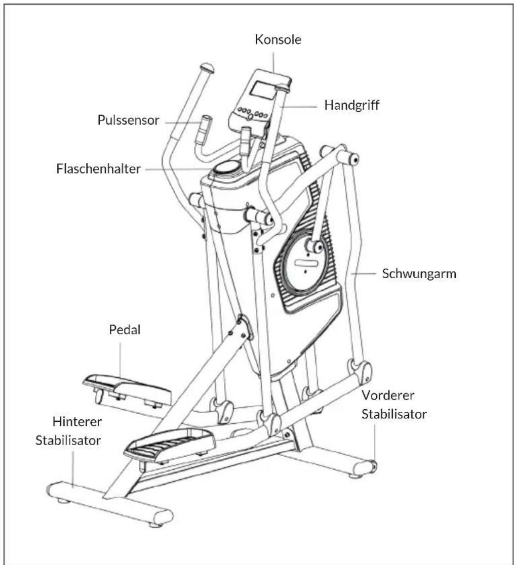 Capital Sports Helix Stride - Abmessungen - 2