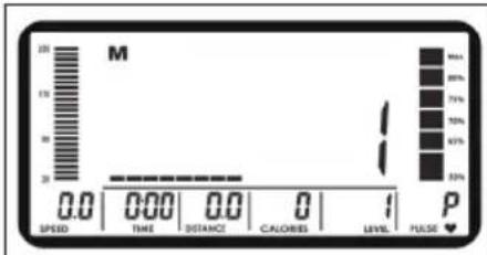 Capital Sports Helix Stride - PROGRAMMES - 1