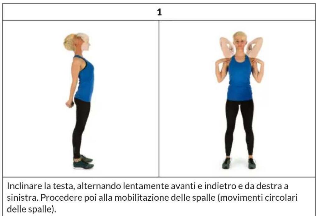 Capital Sports Helios - Dedicare - 1