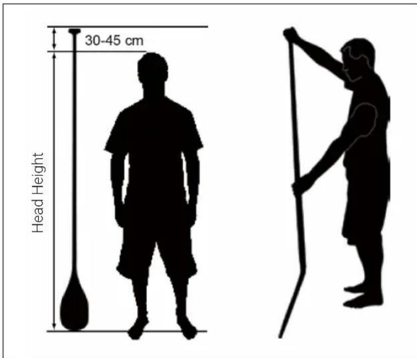 Capital Sports Mokulau Yoga - USE AND OPERATION - 1