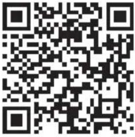 Capital Sports Pacemaker F60 - OPERATION VIA APP - 1