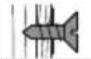 Fein ASCM 12 Q Select - Symbols, abbreviations and terms used. - 31