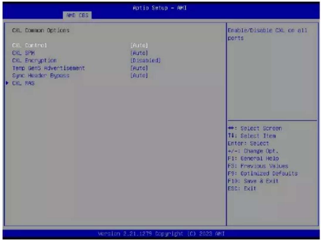 GIGABYTE MZ73LM0 - 2-3-9 CXL Common Options - 1