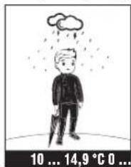 TFA Weather Jack 35.1166.54 - Instruction manual - 31