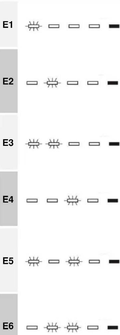 Fulgor Milano FDW 8291.1 - ANOMALIA DESCRIÇÃO - 1