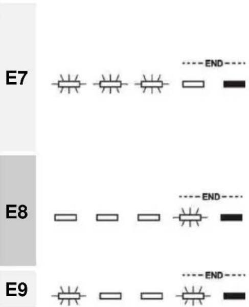 Fulgor Milano FDW 8291.1 - FEHLFUNKTION BESCHREIBUNG - 1