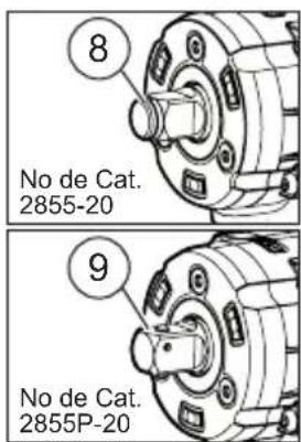 8 No de Cat. 2855-20 9 No de Cat. 2855P-20