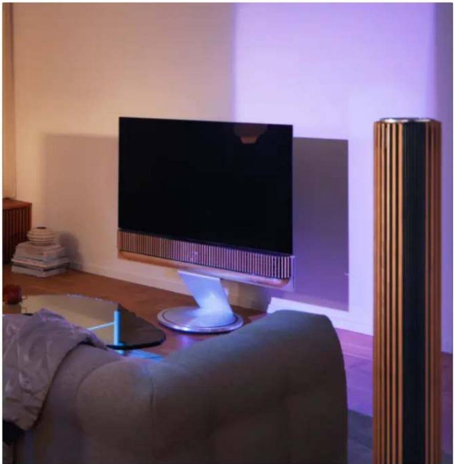 BANG & OLUFSEN BeoSound Theatre - 添加外部扬声器 - 1