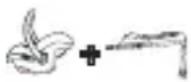 Foppapedretti YBase - Note - 1