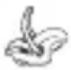 Foppapedretti YBase - Advertencia - 2