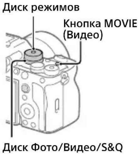 SONY Alpha A7R V - Совет - 1