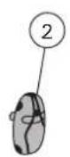HARVIA Griffin CG170400L - PEZZI DIRICAMBIO - 2