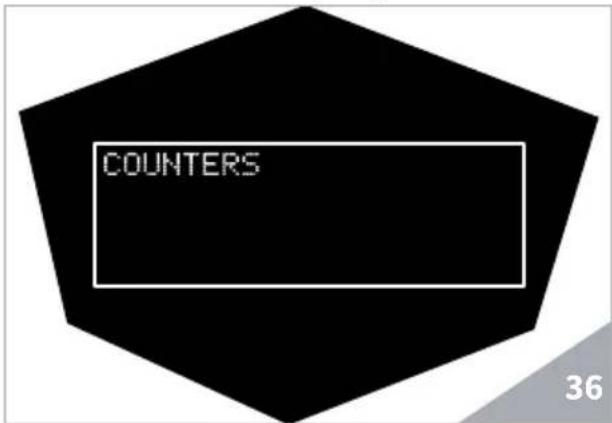Victoria Arduino Theresia - COUNTERS - 1