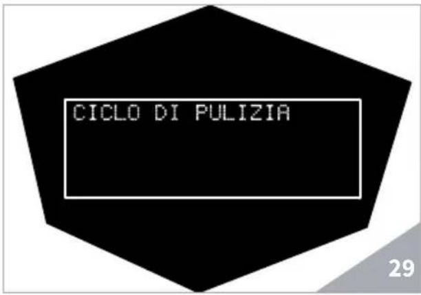 Victoria Arduino Theresia - CICLO DI PULIZIA - 1