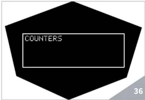 Victoria Arduino Theresia - COUNTERS - 1