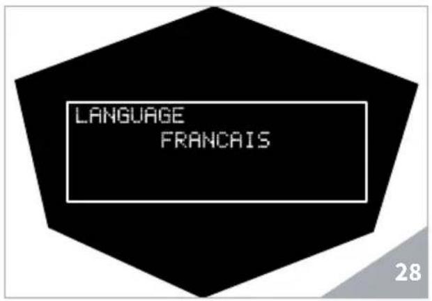 Victoria Arduino Theresia - LANGUAGE - 2
