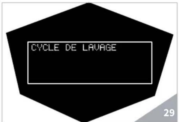 Victoria Arduino Theresia - CYCLE De LAVAGE - 1