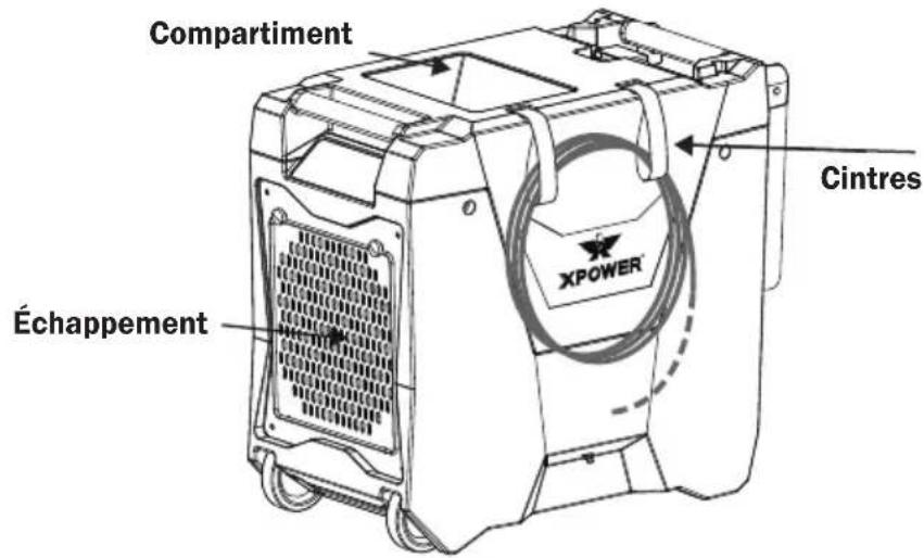 XPower XD85L2 - Organiser le cordon et le tuyau de drainage - 1