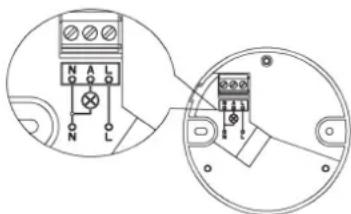 Renkforce 1296308 - Raccordement - 1