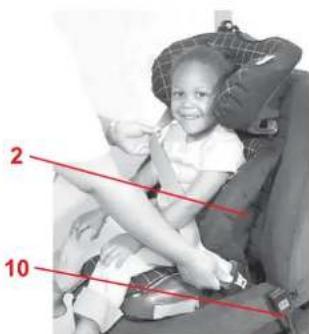 Britax-Römer Adventure 2000001936 - Poser la ceinture du véhicule - 3