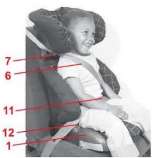 Britax-Römer Adventure 2000001936 - Poser la ceinture du véhicule - 6